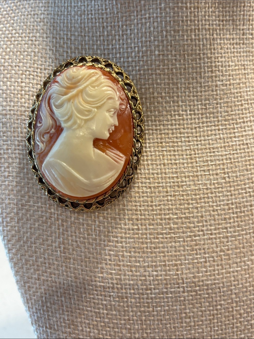 Vintage Left Facing Cameo Brooch Pin | Gold Tone Openwork Filigree Border